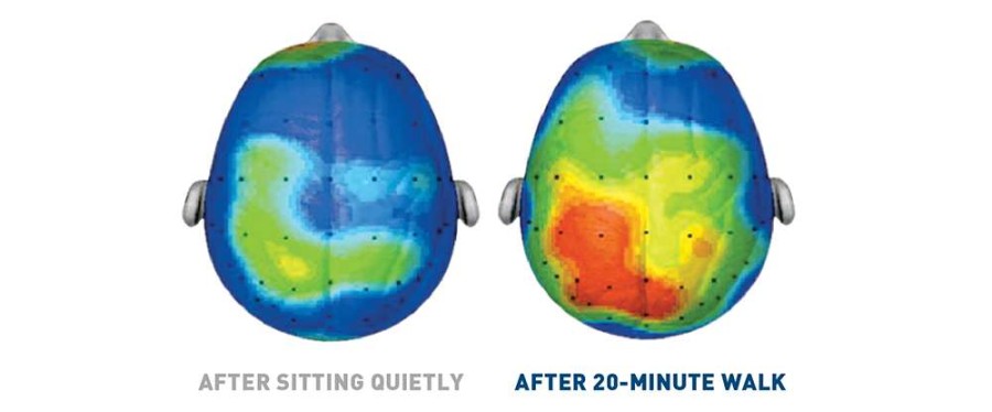 PHIT America uses this graphic showing increased brain activity after a 20-minute walk to advocate for P.E. in schools. 