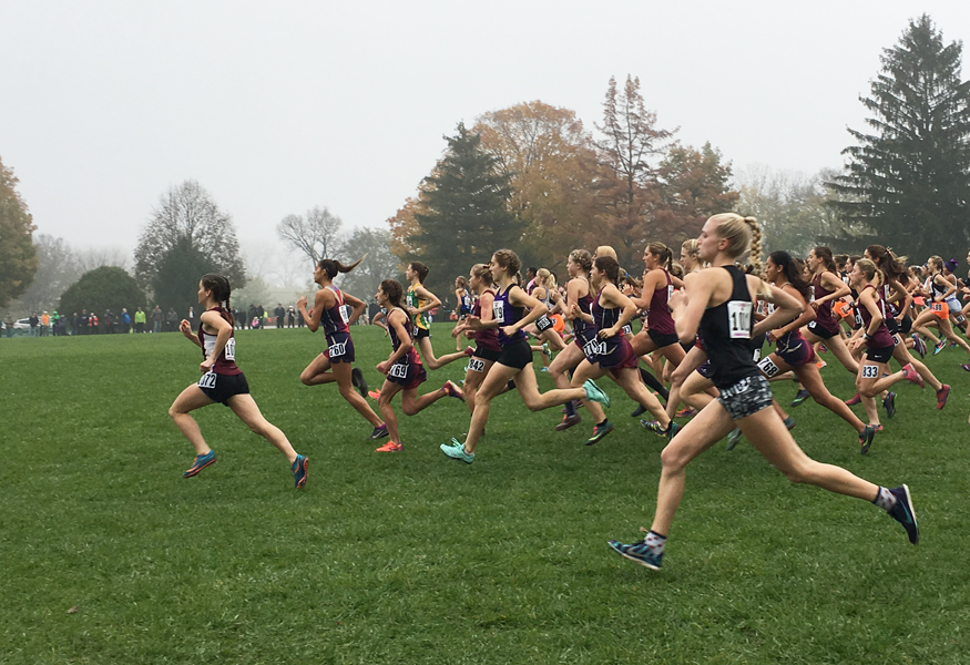 Chelsea Gale (farthest to the left) pulls ahead at the start of the girls class 2A state cross country race November 4 in Peoria, Illinois.