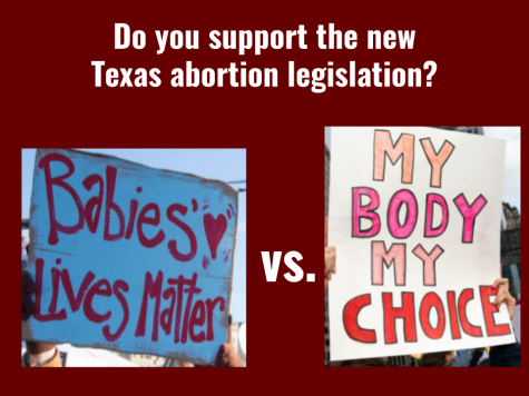 Texas Abortion Law - What do you think?